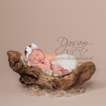 driftwood-on-cream-newborn-prop-download